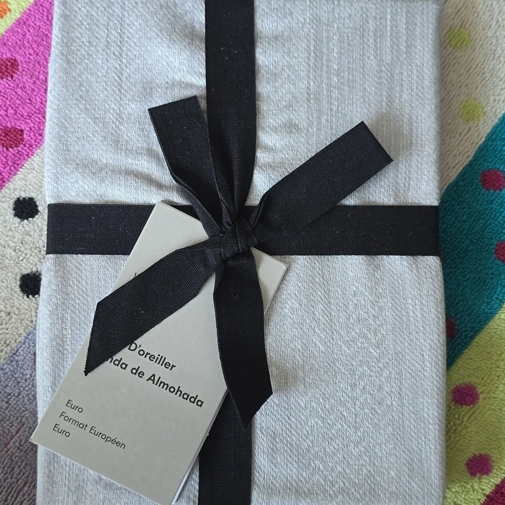 Silky TENCEL™ Striated Euro Sham, Frost Gray, Retail Price $$49.00US